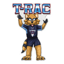 Tennessee Titans Pennant Shape Cut Mascot Design - $30.99