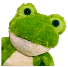 Green Frog Plush Stuffed Animal Fiesta Softie Bean Bag Toy Big Eyes 13 Inch - £6.07 GBP