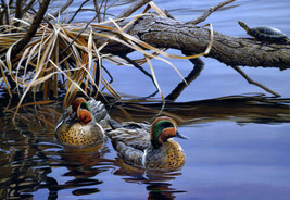 Home deco Wall art Canvas Print Ducks Oil painting HD printed canvas Giclee - £9.02 GBP+