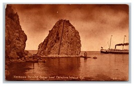 Sugar Loaf and SS Hermosa Santa Catalina Island CA UNP Sepia DB Postcard W16 - £3.91 GBP