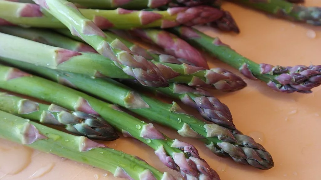 SR 51 Mary Washington Asparagus Seeds, Non GMO, Healthy Vegetable Planti... - $8.48