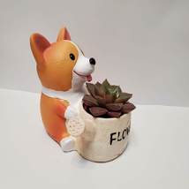 Corgi Planter with Echeveria Succulent, Dog with Watering Can, Animal Planter image 5