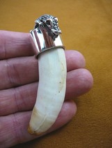 (G963-20-1) Extra Large 3-1/8&quot; Gator Alligator Tooth Silver Cap Gators Pendant - £298.11 GBP