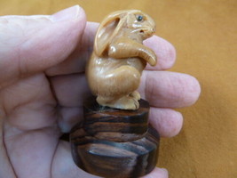 (tb-rab-5) little bunny foo foo Tagua NUT palm figurine Bali carving bab... - $42.77