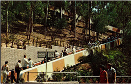 Moving Stairway San Diego Zoo Balboa Park  California Vintage Postcard (B14) - £4.36 GBP