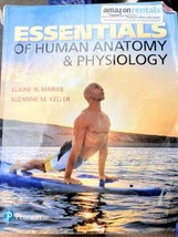 Essentials of Human Anatomy &amp; Physiology 12th Edition Paperback - £27.06 GBP