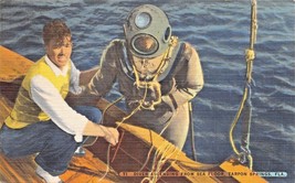Tarpon Springs Florida Sponge Diver Ascending From Sea Floor Postcard 1940s - £7.36 GBP