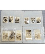 Mining Photos 1920s Shasta County CA Hans Lundberg Electrical Prospect S... - $883.51 CAD