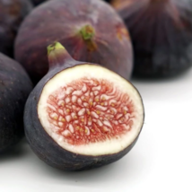 Black Mission Fig Tree 6 to 8 inch Live Starter Plant - £16.58 GBP