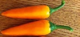 25 Bulgarian Carrot Pepper Seeds Hot Chili Pepper Seeds Fresh Garden USA SELLER - £16.02 GBP