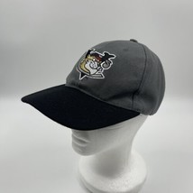 APC Baseball Hat Adjustable Cap CDTA Gray And Black One Size Fits All - $9.50