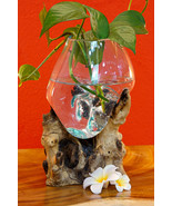 Molten Glass On Root Wood Bali Vase Glass Bowl Flower Vase Teak New Wood - €61,78 EUR+