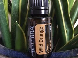 doTERRA Wild Orange 15 mL Essential Oil  NEW &amp; SEALED Exp 07/29 - $18.00