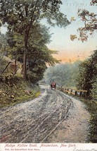 Amsterdam Ny New York~Nudge Hollow ROAD~1906 Schoefflers Book Store Postcard - £10.35 GBP