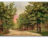 Driveway Street View Winona Lake Indiana IN DB Postcard Y1 - $5.89