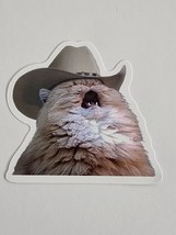 Cat Wearing Hat with Mouth Open Cowboy Meme Theme Sticker Decal Embellis... - $2.30