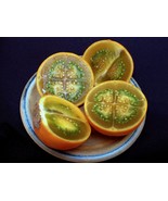 Lulo Orange Tree {Solanum Quitoense} Organic 10 Seeds  - $10.98