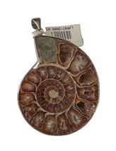 NEW Handcrafted Beautiful Natural Fossilized Real Ammonite Creatures Pen... - £47.81 GBP