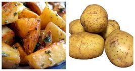 Yukon Gold Potato 6 Tubers/Seed Potatoes - £32.22 GBP