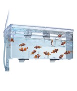 Multi-Chamber Holding &amp; Breeding Box - Large - $39.91