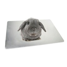 Cool Paws Aluminum Pet Cooling Plate - Beat the Heat for Your Furry Friends! - £44.38 GBP+