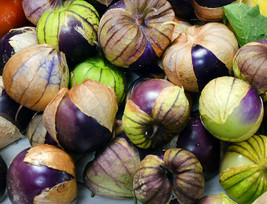 600 Purple Tomatillo Seeds Physalis Ixocarpa Cape Gooseberry Heirloom Or... - $4.99