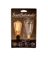 ScentSationals 40 Watt Edison Wax Warmer Replacement Light Bulb  - $17.76 CAD