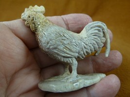 Chick-11 Rooster chicken of shed ANTLER figurine Bali detailed handmade ... - £40.94 GBP