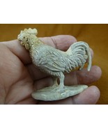 Chick-11 Rooster chicken of shed ANTLER figurine Bali detailed handmade ... - $944.28 MXN