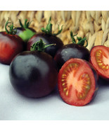 50 Seeds Indigo Rose Tomato Juicy Tomatoe Vegetable Garden  - $7.17