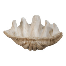 Medium Clam Shell Accent Bowl - £103.66 GBP