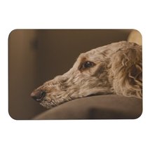 Mondxflaur Dog Non Slip Bathroom Mat for Shower Quick Dry Diatom Mud Rugs - £15.13 GBP