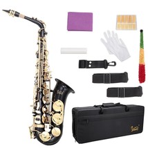 Alto Saxophone Brass Lacquered Gold E Flat Eb Sax Kit W/ Case - $311.65