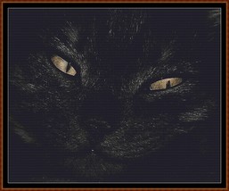 Black Cat ~~ counted cross stitch pattern PDF - $19.95