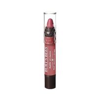 Burt’s Bees 100% Natural Lip Crayon NIAGARA OVERLOOK (417), Sealed - $34.99