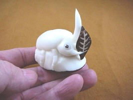 TNE-HOR-444C) little Horned Beetle bug TAGUA NUT Figurine carving VEGETA... - £23.24 GBP