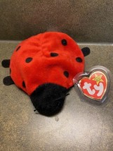 TY Beanie Baby Lucky The Ladybug with Spots Plush Toy 1995 Vintage bday 5/1/95 - £7.32 GBP