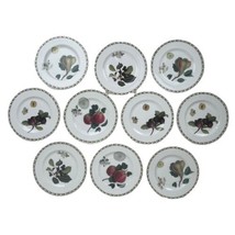 10 Queens Royal Horticultural Society Hooker&#39;s Fruit Bread Plates 6-1/4&quot; - £44.84 GBP