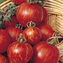 Tigerella Tomato - 5+ seeds - P 116 - £1.59 GBP