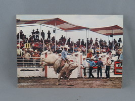 Vintage Postcard - Bull Riding The Calgary Stampede - Traveltime - £11.77 GBP
