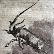 1880 Macedonian Goat Napoleonic Horn Antichrist Victorian Wood Engraving... - $79.99