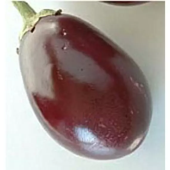 JGBO 51 Ravayya Eggplant Organic India Heirloom Vegetable Garden Seeds C... - $8.96