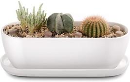 Oval Ceramic Planter Pot with Drainage Hole Saucers 11 Inch Succulents Planter - £29.01 GBP