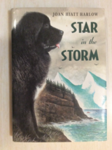 Star In The Storm By Joan Hiatt Harlow - Hardcover - First Edition - £15.24 GBP