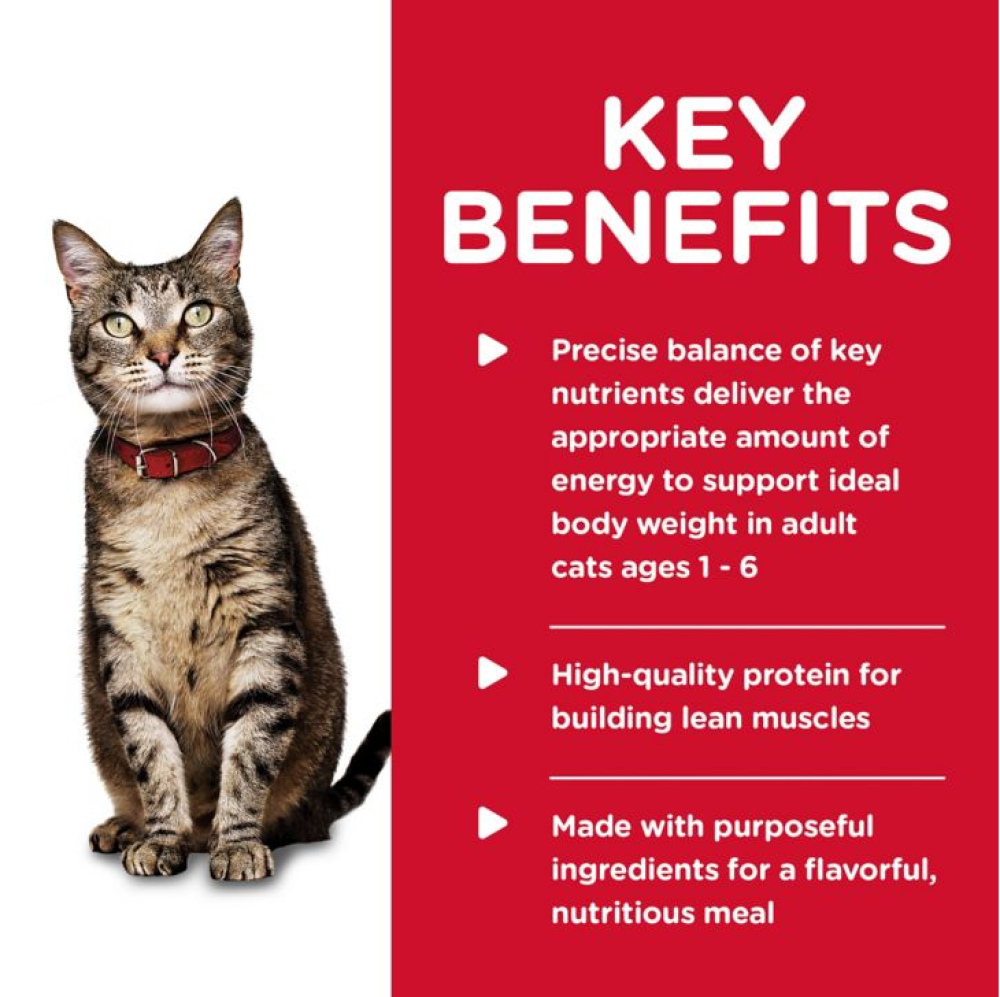Hill's Science Diet Adult Savory Minced Salmon 5.5oz Wet Cat Food - 1 Single Can Item image 3