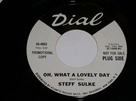 Steff Sulke Oh What A Lovely Day Broken Dreams 45 Rpm Record Dial Label Promo - £119.89 GBP