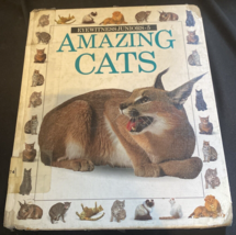 Amazing Cats (Eyewitness Junior) - £3.52 GBP