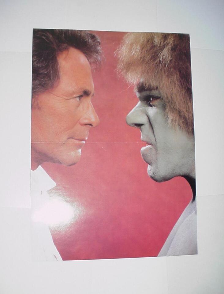 Hulk Poster #63 Bill Bixby vs Lou Ferrigno Death of Incredible Hulk TV ...
