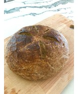 Gluten Free SOURDOUGH STARTER yeast mix San Francisco SAMMY RECIPE SITE ... - £6.93 GBP