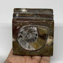 494g, 2.8&quot; x 2.8&quot; x 2&quot; Fossils Orthoceras Ammonite Business Card Holder,... - $14.00